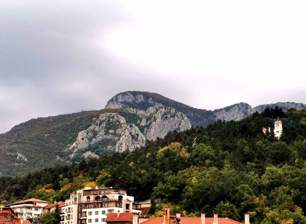 A view of the Vrachanski Balkan mountains showcases rocky peaks under an overcast sky, complemented by greenery. The foreground features a mix of residential buildings with a gentle slope. A small tower stands prominently on the hillside, adding character to the scenic landscape.