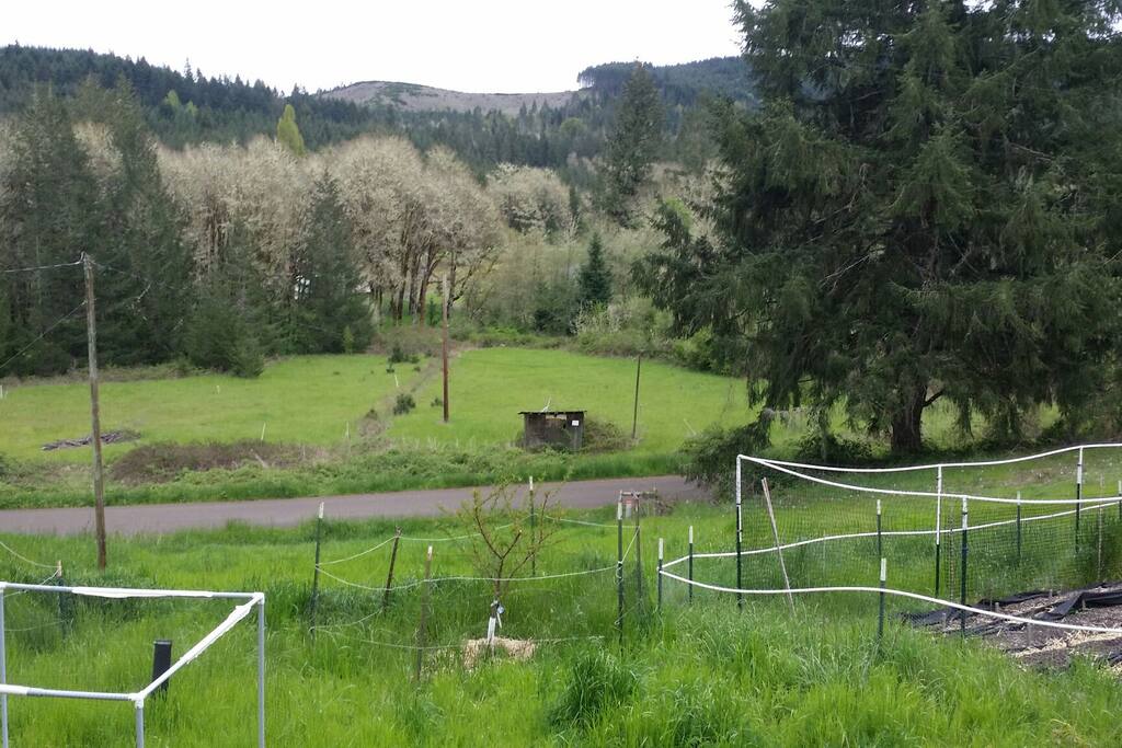 Your view from the left window of the Qween size bed in it's private bedroom.