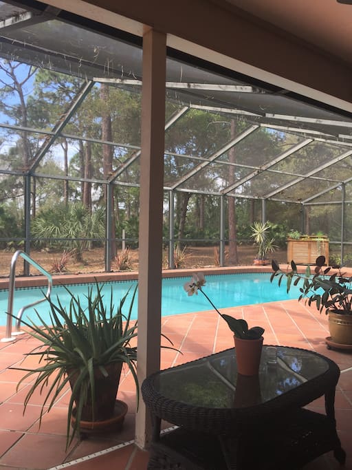 Large Pool