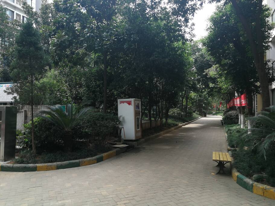 保利花园中央花园香樟树成林,小区内外地面总是保持一尘不染,不愧为央企保利物业!