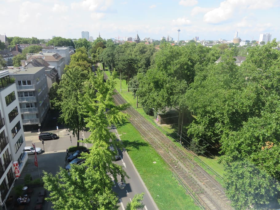View from the window