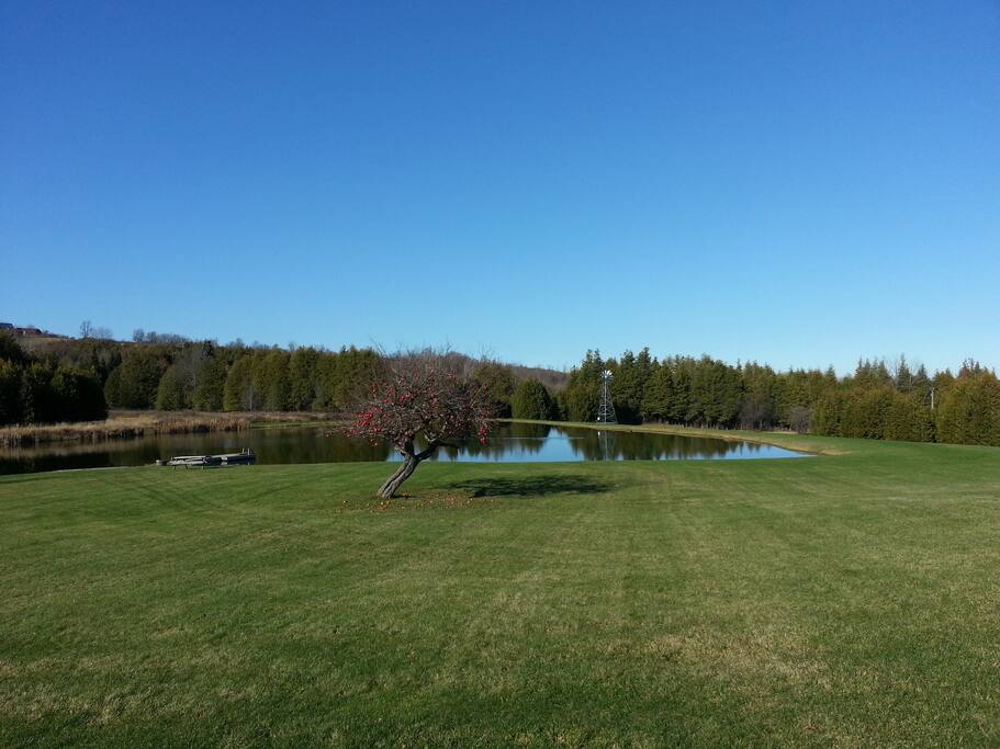 View of pond from front porch
