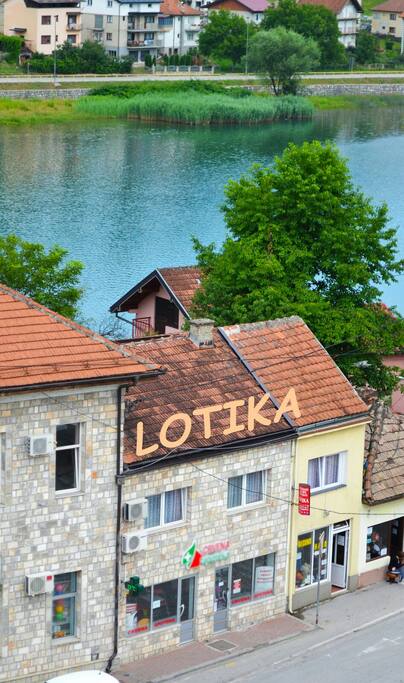 Lotika outside