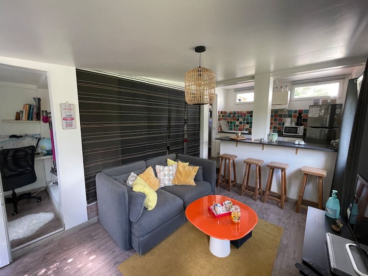 Maisonnette Dans Jardin Tours - Tours