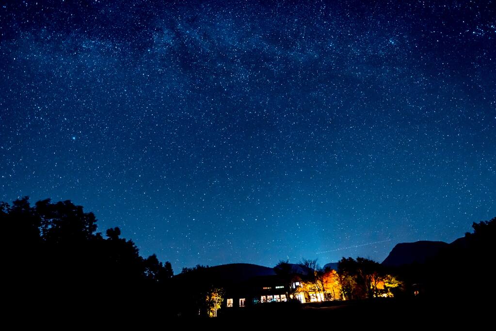 You can enjoy wonderful night.