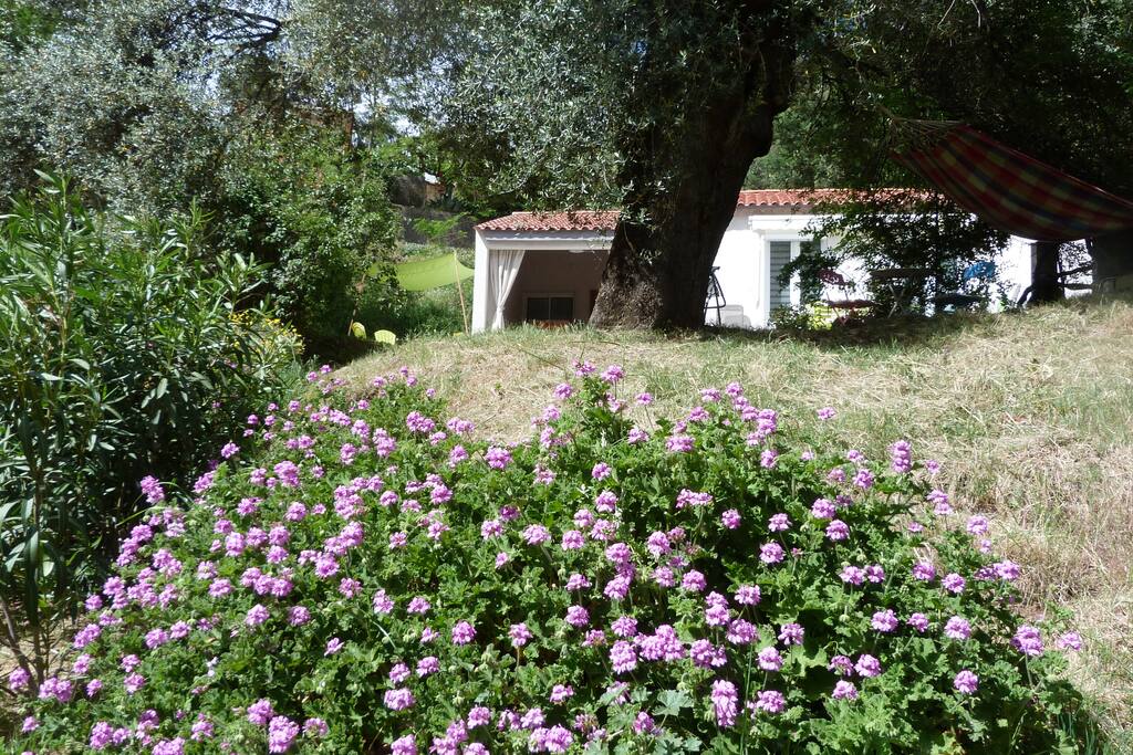 Vue de notre jardin