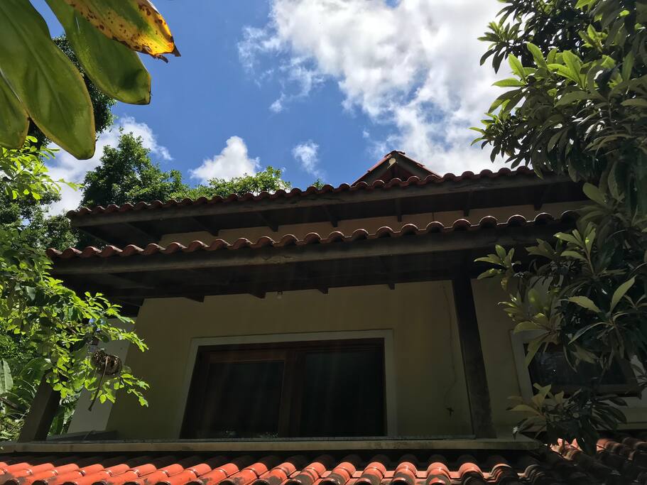 Vista da piscina para a varanda da casa