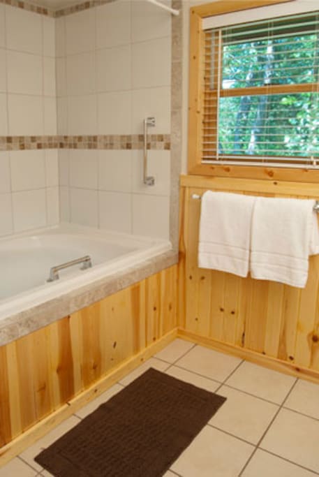 Whirlpool tub with Rain Shower over it.