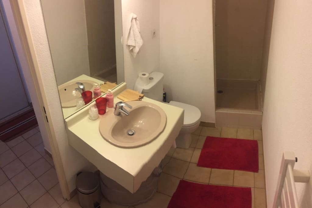 Salle de bain (à droite de l'entrée)
