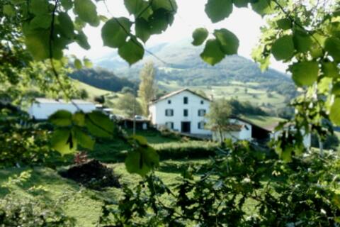 A comfortable apartment on the Errecartia farm