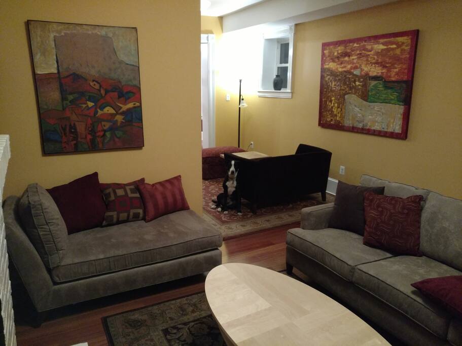 Living room. Bradley is a camera hog.