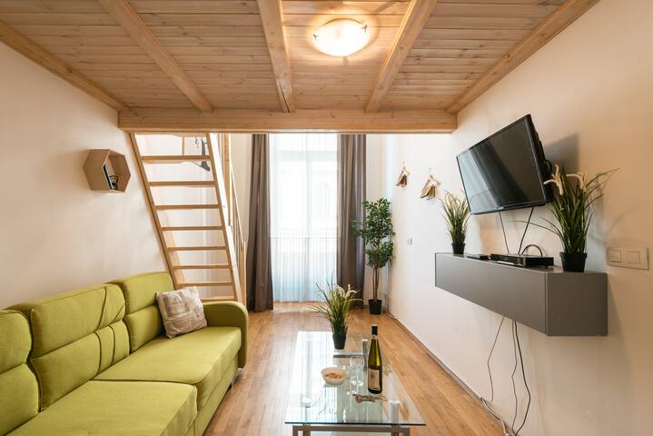 💙pragueforyou💙Central Spacious apts up to 14pers gallery image 2