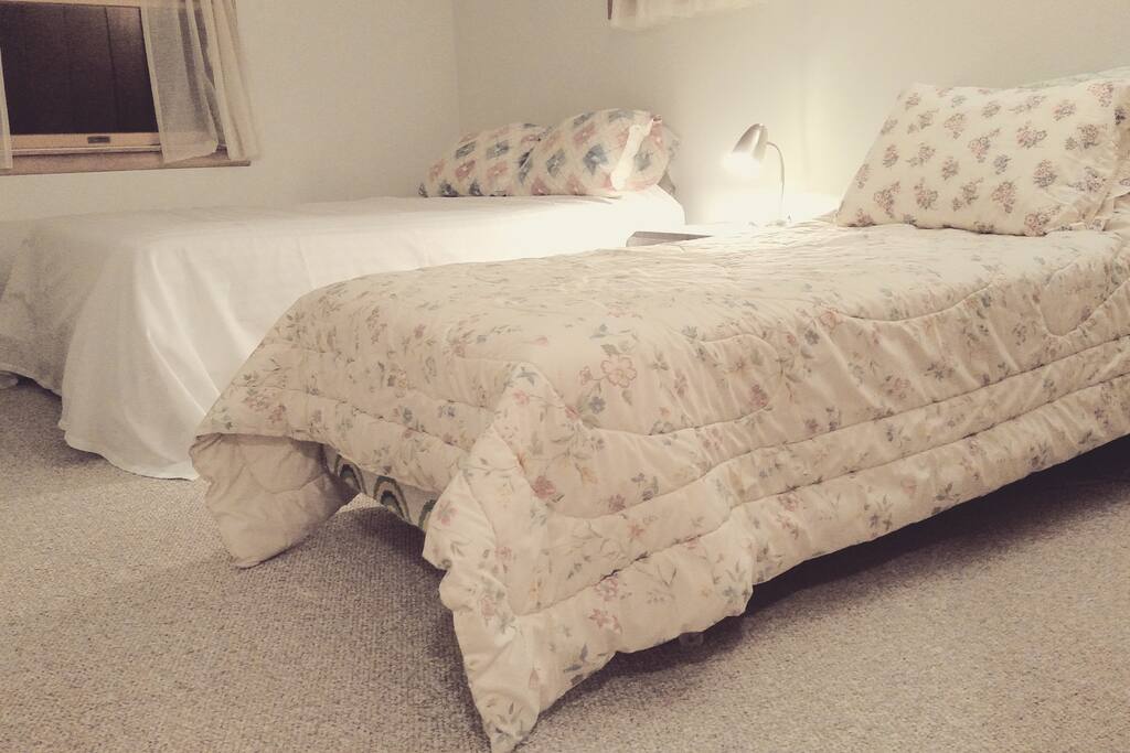 North bedroom: Perfect for the kids, families, or friends. One queen bed and one twin.