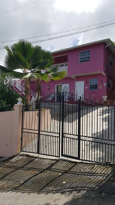 Palm Tree by Front Entry Gate & Driveway,
We have secure parking on property with a lockable front gate, or you can park in front of the property.