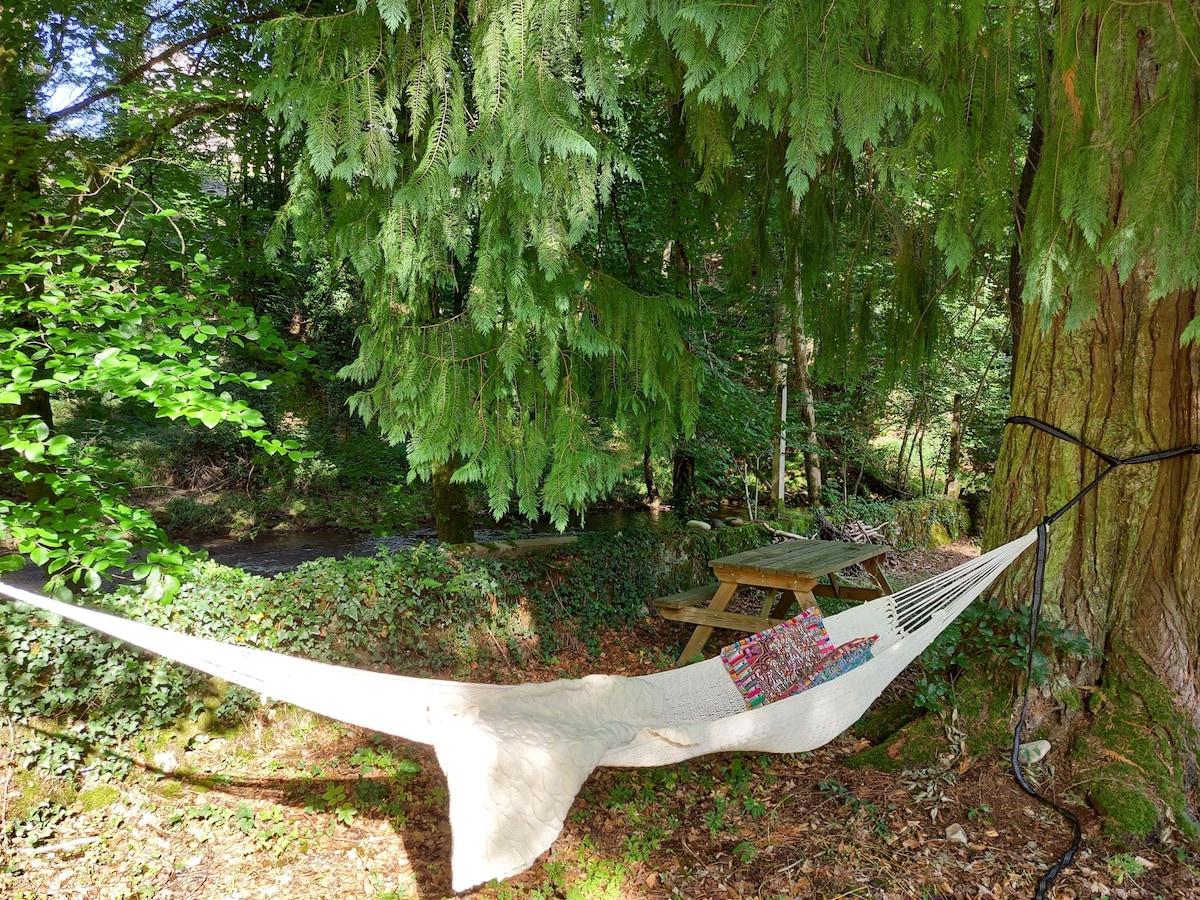 A hammock is suspended between trees in a lush, green setting, providing a relaxing spot beside a gentle stream. A picnic table with benches is visible nearby, surrounded by dense foliage and natural ground cover.