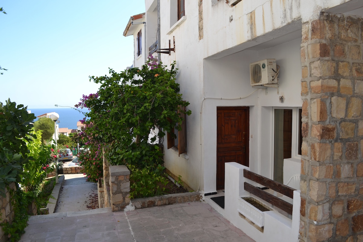 A stone pathway leads to a white building with wooden accents and an air conditioning unit. Lush green plants frame the entrance, where a wooden door is visible. The ocean can be seen in the distance, adding a scenic backdrop to the setting.
