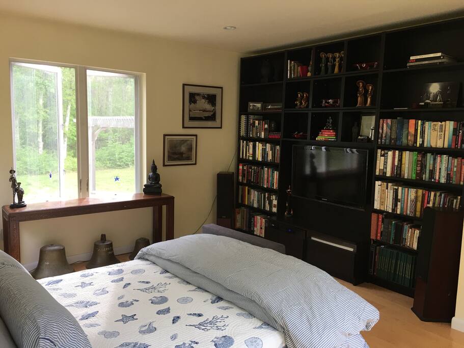Flat-screen TV and books