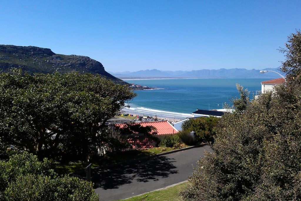 View showing location of apartment from the start of the Elsie's Peak hiking trail (The large Lucky Bean Trees on the left are a local landmark)