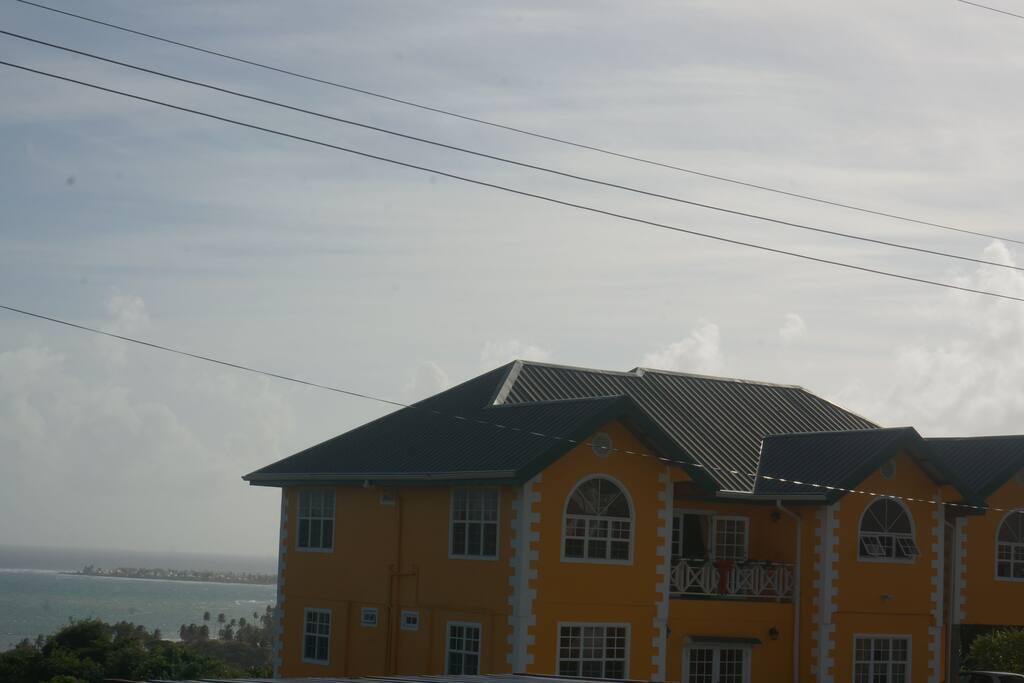 Side View