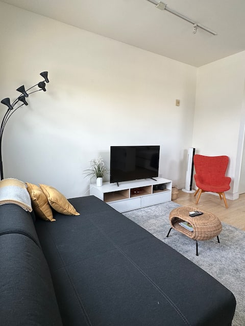 Top Airbnb: Bright Modern Studio near Flower Mart, SoMa in South Of Market