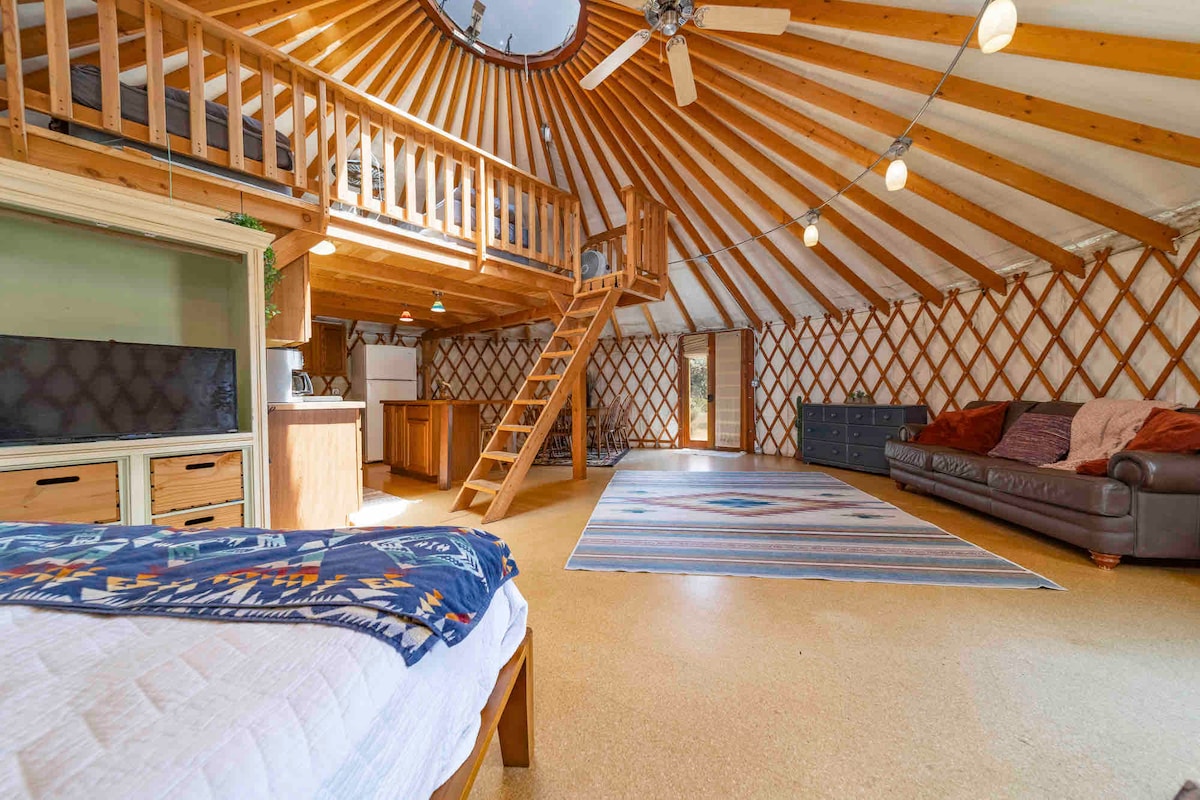 The interior of the yurt features a spacious layout with wood paneling and high, vaulted ceilings. A loft area is accessible by a wooden staircase. A cozy bed is positioned near the front, and a leather sofa complements the room, with a large rug anchoring the living space.