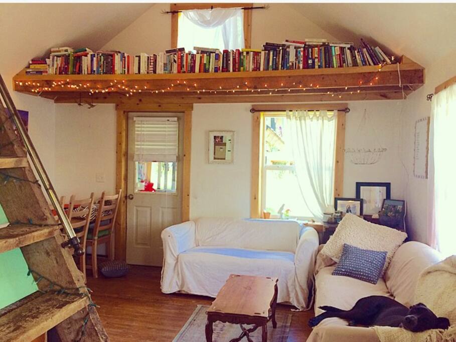 1 large couch, 1 love seat. Library of books. Puppy not included