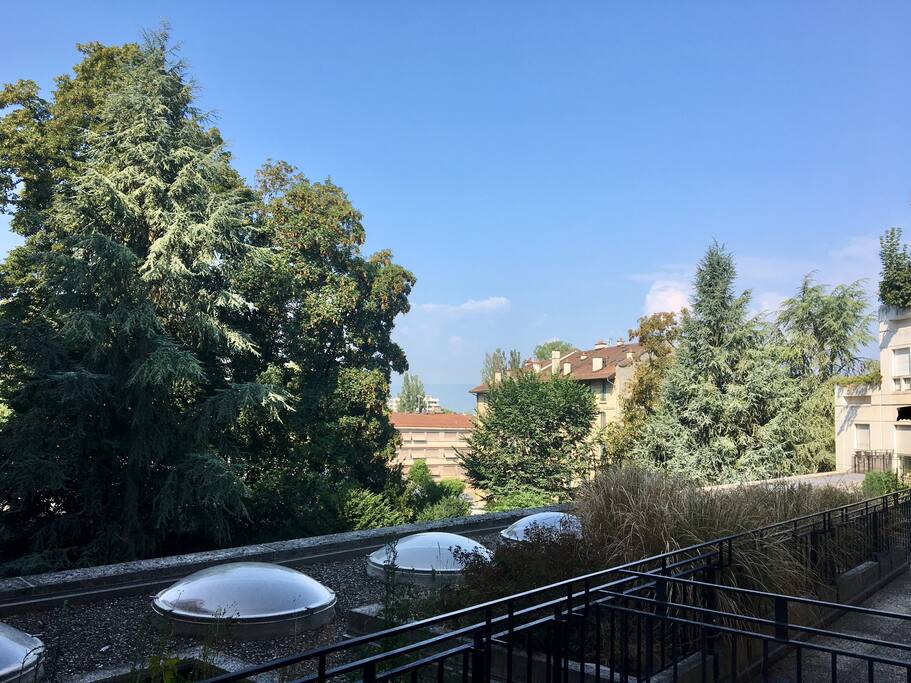 Terrasse / Terrace