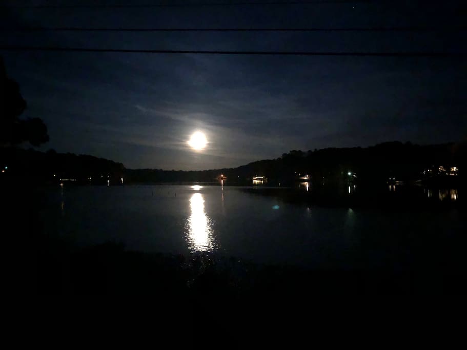 Lake Dixie Springs by moonlight
