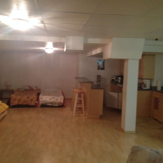 Wet bar and part of the common space with 4 extra singles