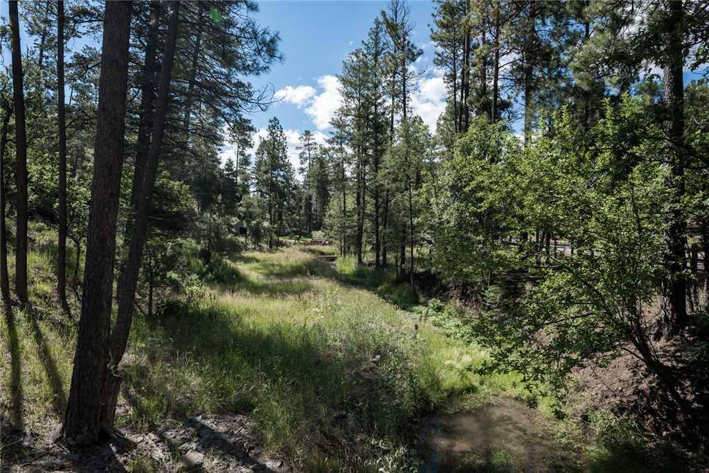 Mountain Charm - This upscale cabin has fantastic views and plenty of amenities.