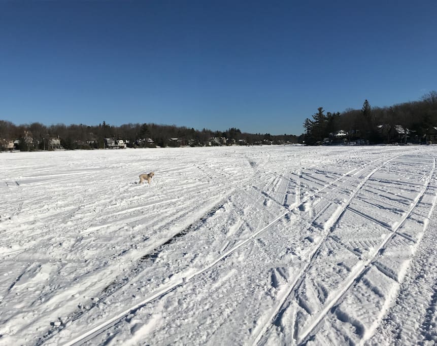 Frozen Lake