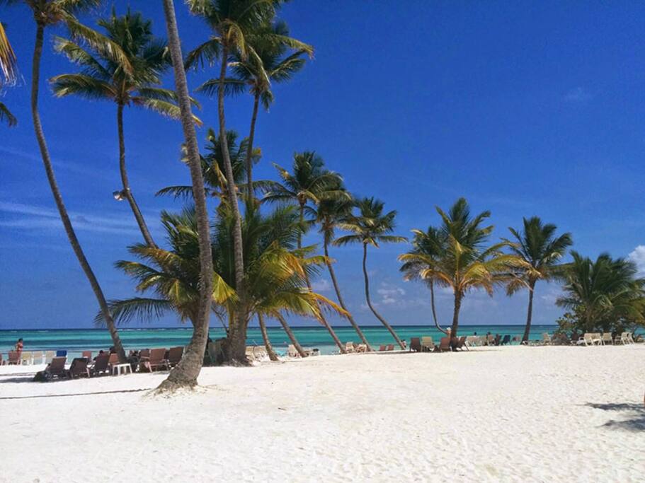 Beautiful White Sand Public Beaches await!