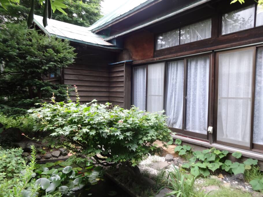 wooden house with gold fishes in small pond