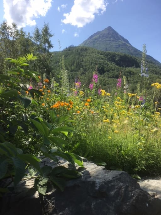 Front flower bed with Pioneer Peak
