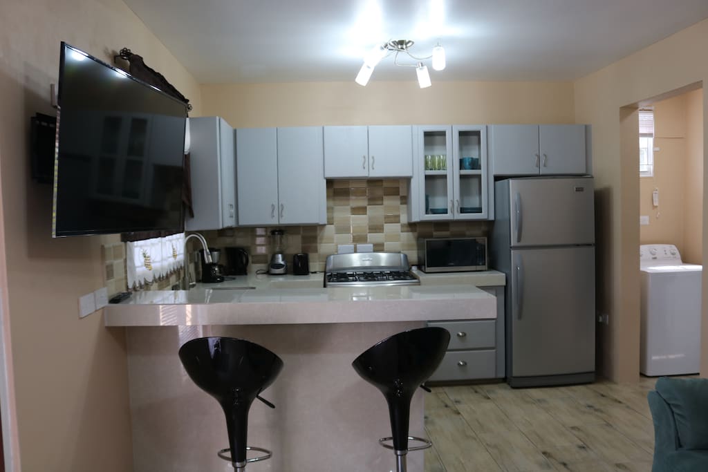 Dining counter and kitchen