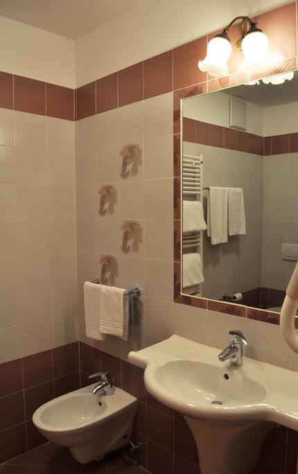 il bagno della stanza
