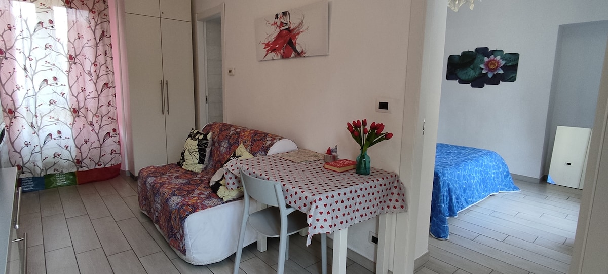 Annuncio Airbnb popolare: Discover Turin near Porta Susa a Torino