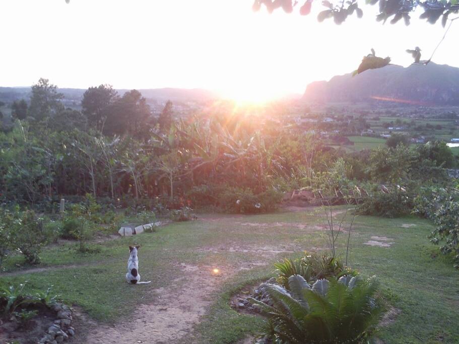 Valle del silencio