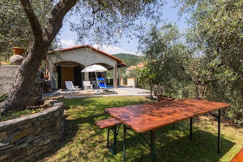 AgriturismoOhBelin! Apartment Oliva