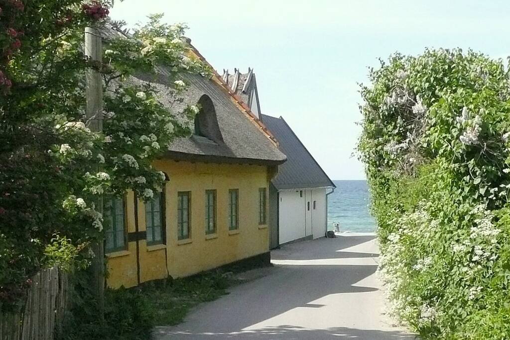 Kikhavns idylliske gule huse med badestranden i baggrunden