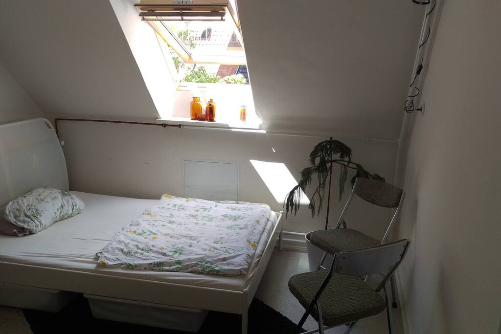 Gästezimmer - guest room