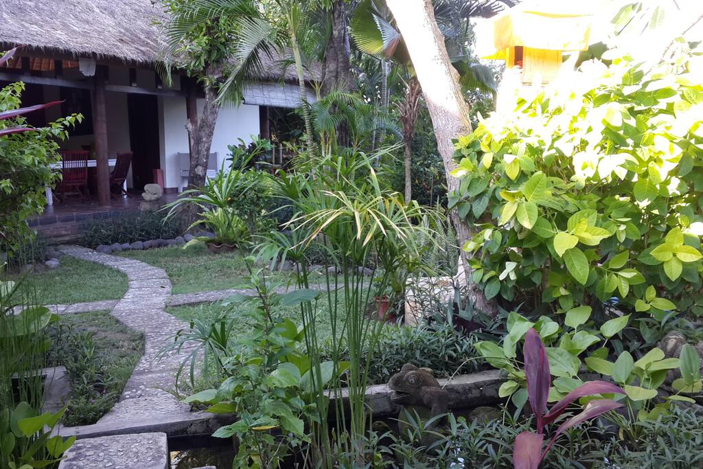 view from the garden