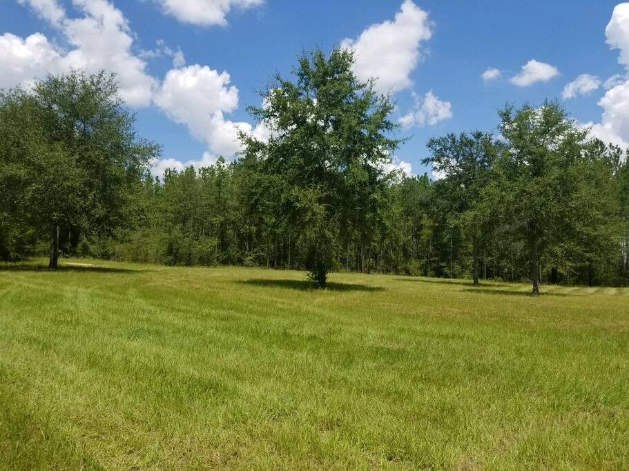 large yard