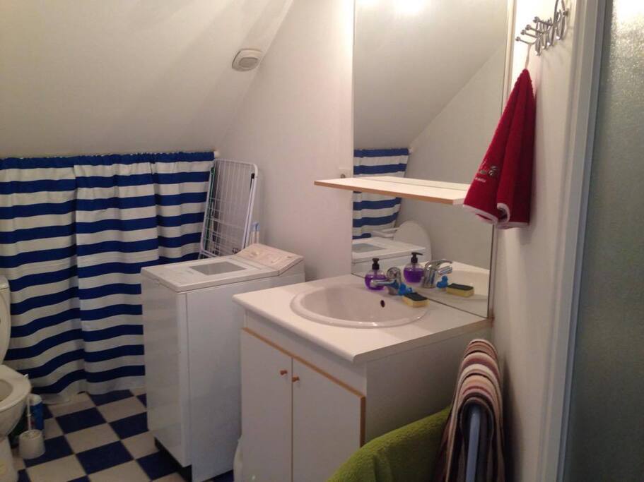Salle de bain + toilette