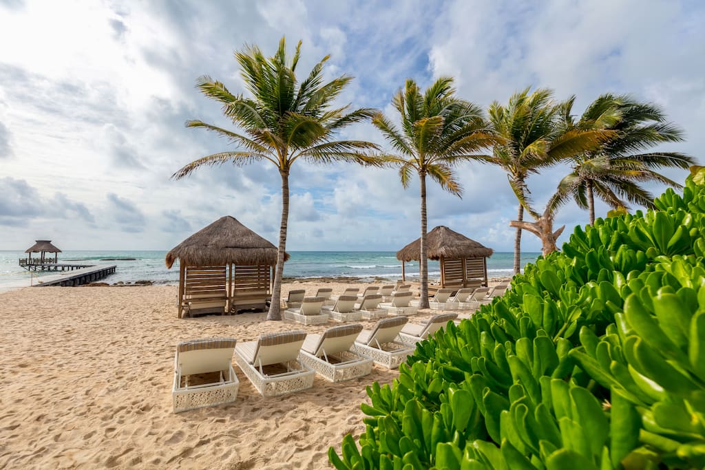 Swaying palms, soft sand, and lounge chairs for enjoying the view.