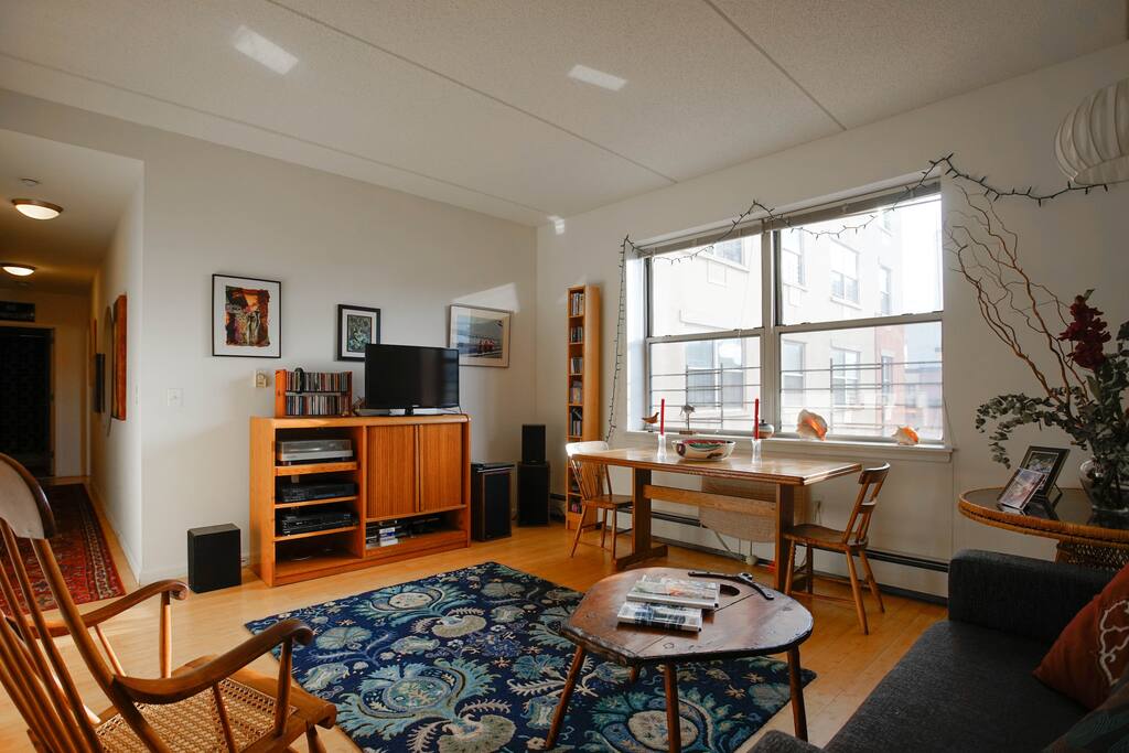 South-facing living room with panel TV