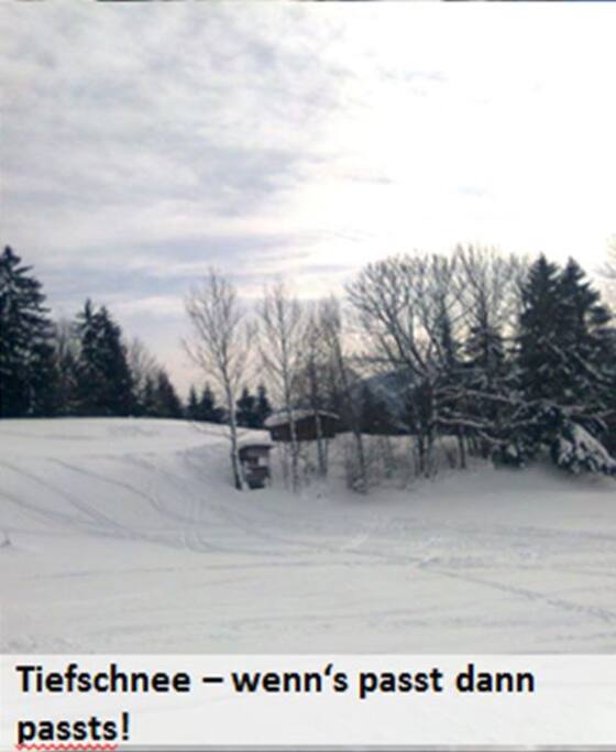 Tiefschnee - juhu
