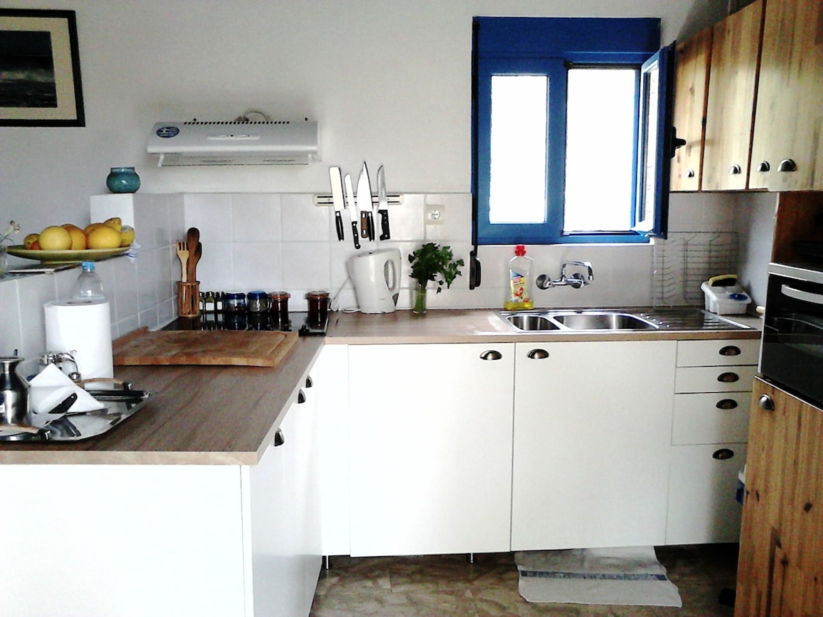 A functional kitchen space is presented with ample cabinetry and countertops. Stainless steel utensils are organized neatly, alongside a cutting board and a blender. Windows allow natural light to fill the area, complemented by blue-painted frames. Essential appliances are within easy reach.
