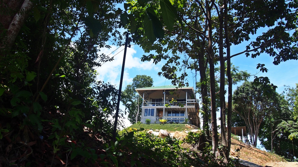 A jungle home stands elevated among lush greenery, showcasing a white exterior and a blue balcony. Tall trees frame the view, while the clear blue sky adds brightness to the scene. The pathway leading up to the house is visible through the surrounding foliage.