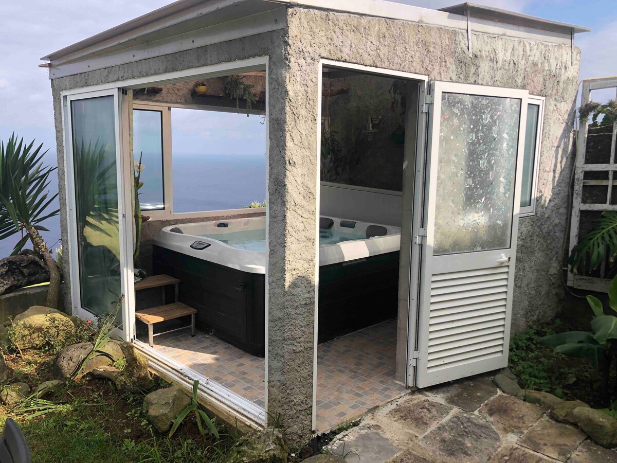 A spa area is enclosed with large glass windows, providing views of the ocean. A hot tub occupies the space, surrounded by greenery and stone pathways. The structure features a white door and is designed to offer a relaxing environment while enjoying the natural surroundings.